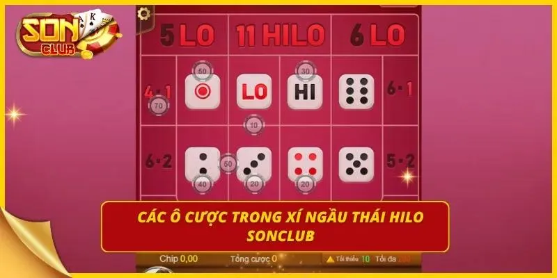 4 ô cược chính trong Xí Ngầu Thái Hilo